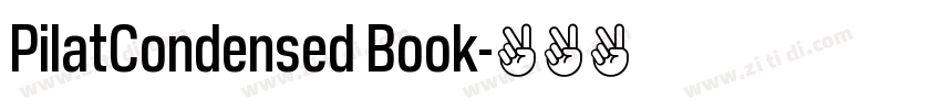 PilatCondensed Book字体转换